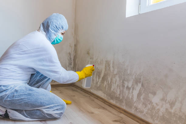 Mold Remediation specialist working in Danville